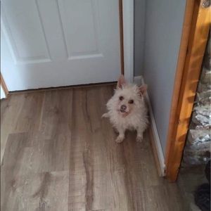 Meet your Posher, Catherine